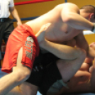 2013.02.16.Szombat Profi MMA És Box Mérkőzés Fotók:árpika