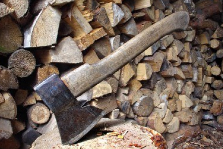 Eladta az interneten más fáit