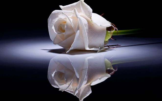 Meghalt a Győr-Moson-Sopron megyei Rábcakapi polgármestere