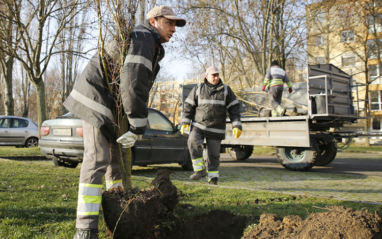 FAÜLTETÉS ADYVÁROSBAN