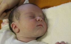 Kulasa Viktória Barbara 