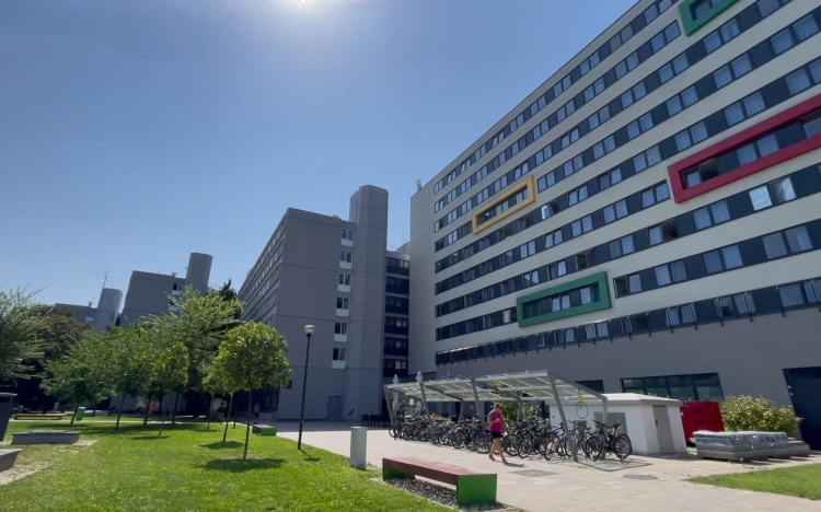 Teltház a kollégiumokban