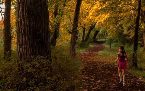 TIPPEK A BIZTONSÁGOS ÉS HATÉKONY ŐSZI, SZABADTÉRI EDZÉSEKHEZ