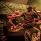 VOLT Fesztivál - Ladánybene - Kowalsky meg a Vega 