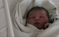 Kornis Olivér Vincent 