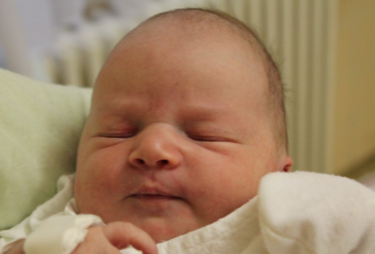 Plózer Rebeka Viktória