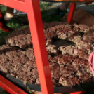 Kuckó Mackó 5. születésnap és jótékonysági evőverseny