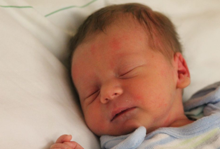 Klemensits Patrik Gábor 