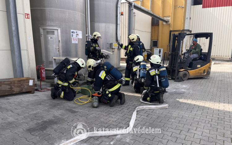 A gyakorlat teszi a mestert