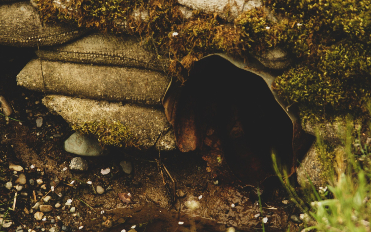 A vízelvezető árkok nem bírják a hirtelen lezúduló esőt – Főleg ha tele vannak