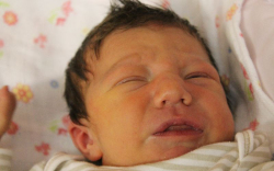 Bozóky Janka Flóra