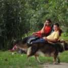 IV. Győri Szuperinfó Családi Piknik és Amatőr Horgászverseny Fotó: Novák Attila