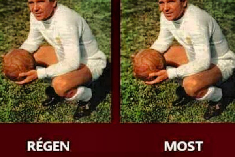 VILÁGHÍRŰ MAGYAR FOCISTA 