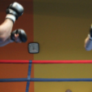 2013.02.16.Szombat Profi MMA És Box Mérkőzés Fotók:árpika