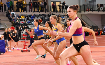 Nyolc érem Nyíregyházáról