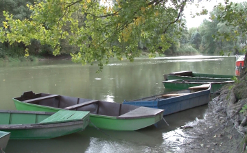 A Szigetköz jövőjéről tanácskoztak Mosonmagyaróváron