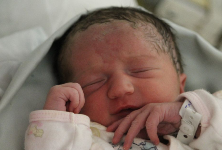 Tarabiah Liza Flóra 