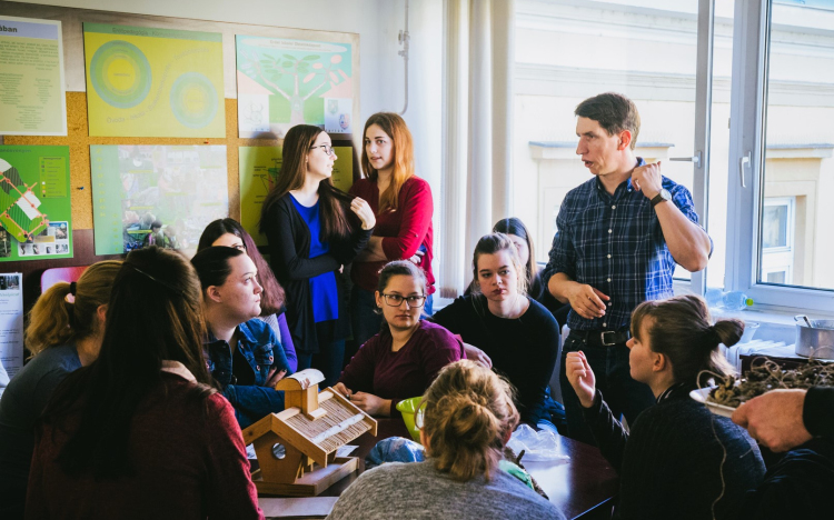 Madárkalács az Apáczai-karon 