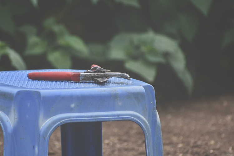 Január a kertben, induljon az éved tudatosan!