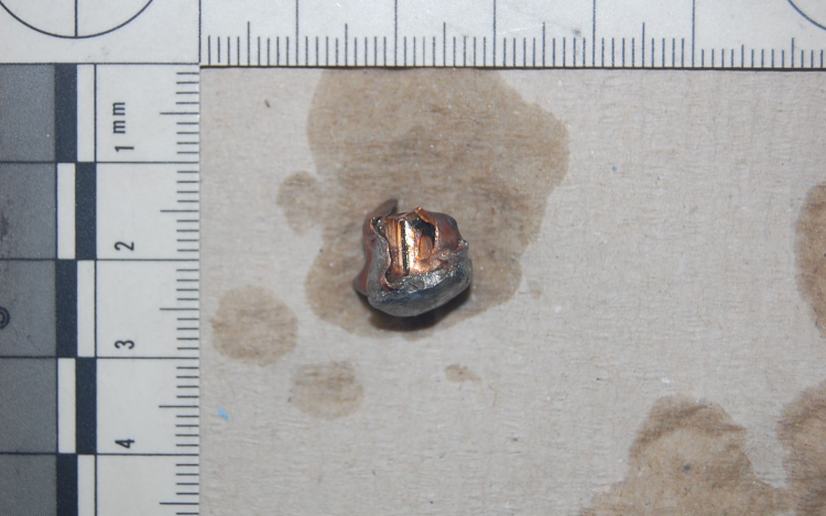 Vádat emeltek orvvadászat és kábítószer miatt