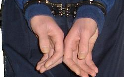 Vádemelési javaslat a gyermekét tóba dobó nő ellen