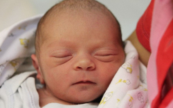 Kalmár Patrik Péter 