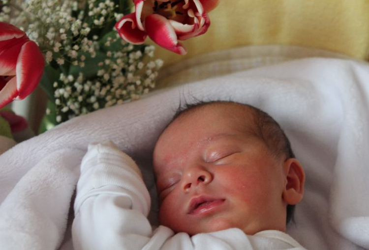 Horváth Karina Hanna