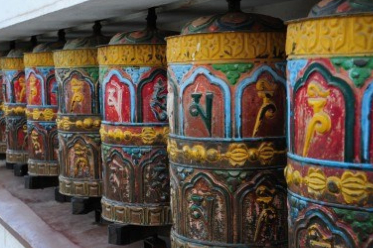 Itthon épül Európa legnagyobb imamalma