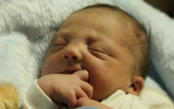 Balogh Attila Dávid 