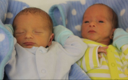 Szentgyörgyi Tamás és Dávid 