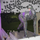 Mundo - The Closing w/ Sterbinszky 2014.09.07. (szombat)