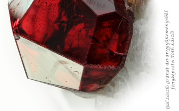 2. Győri Ásványbörze a Duna Centerben