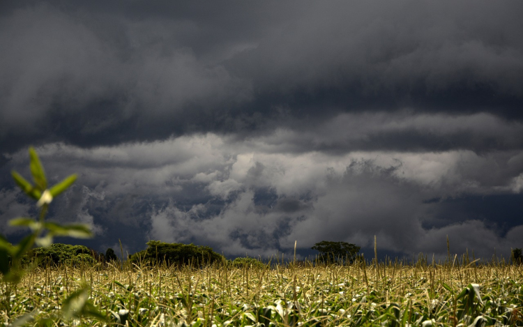 Búcsút inthetünk a nyárnak