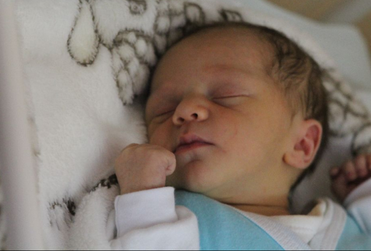 Gráczer Máté Zsolt 