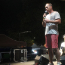 2018.08.19. Győr Augusztus 20. 2. nap Fotók:árpika 