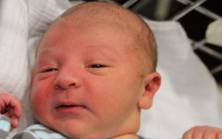 Hajduú Marcel Gábor