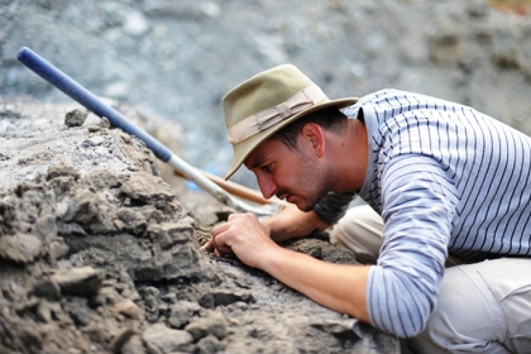 MTA: két páncélos dinoszaurusz is élt a Bakony területén