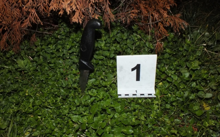 Késsel szúrtak Győrben