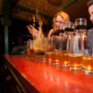 Lapos 2013.02.01. (péntek) (1) (Fotók: K. Balázs)