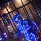 Club Vertigo - Ladies Free  Led & Fetish Party 2013.01.19. (szombat) (2) (Fotók: Vertigo)