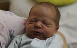 Molnár Erik József 