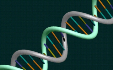 A négyes DNS-spirál felfedezése áttörést jelenthet a rákgyógyászatban