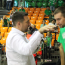 2018.10.10. Győri Audi ETO KC -Békéscsaba Női kézilabda bajnoki mérkőzés Fotók:árpika  