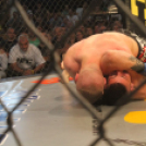 2015.05.09. Profi MMA Gála fotók:árpika