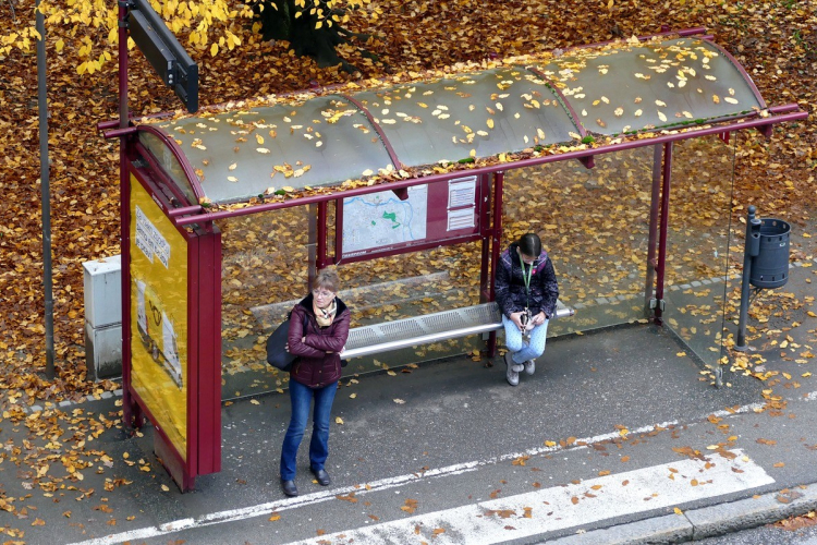 Tovább zöldülhet Győr közösségi közlekedése