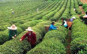 Jelentős mértékben nőnek a minimálbérek idén Kínában