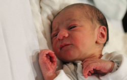 Orosz Bercel Sándor 