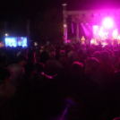 2018.08.19. Győr Augusztus 20. 2. nap Fotók:árpika 