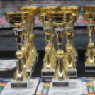 2018.04.28. WHB Amatőr MMA magyar kupa és Bothúzó bajnokság Fotók:árpika