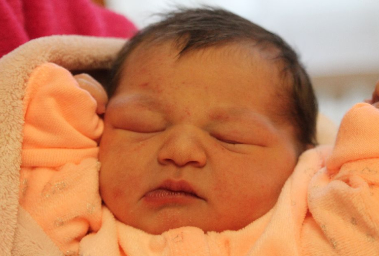 Németh Léna Nilüfer 